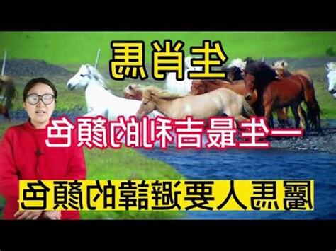 屬馬 顏色